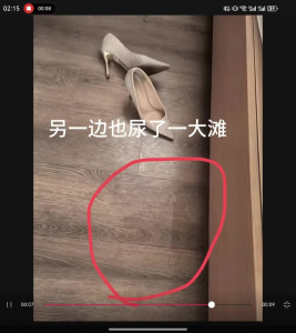 猛艹一小时，敏感高潮少妇最终章，黑丝情趣高跟，高潮喷尿（第一部）